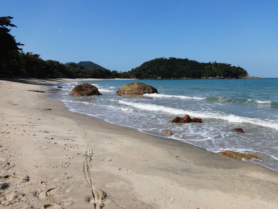 Litoral Norte Tem Seis Praias Impr Prias Para Banho Segundo Boletim Da