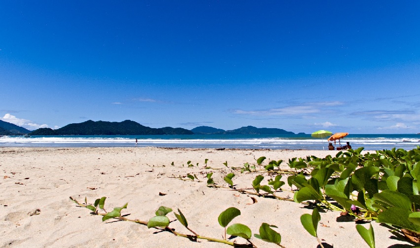 Quatro praias do Litoral Norte estão impróprias para banho conforme