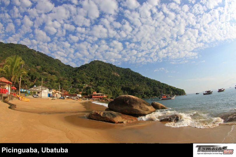 Cidade de Ubatuba ganha associação de casamentos na praia – Tamoios News