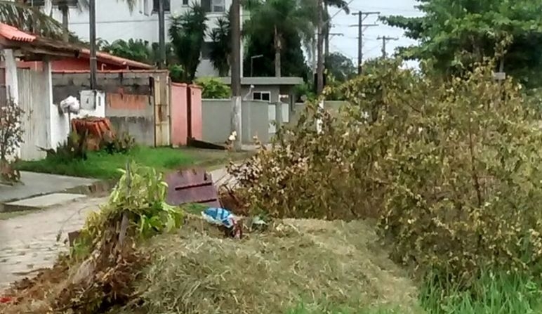 Divulgação