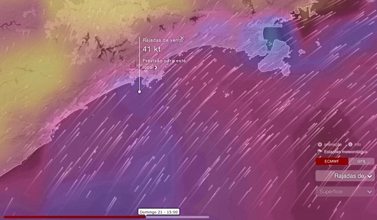 Divulgação/Iniciativa Pro Mar