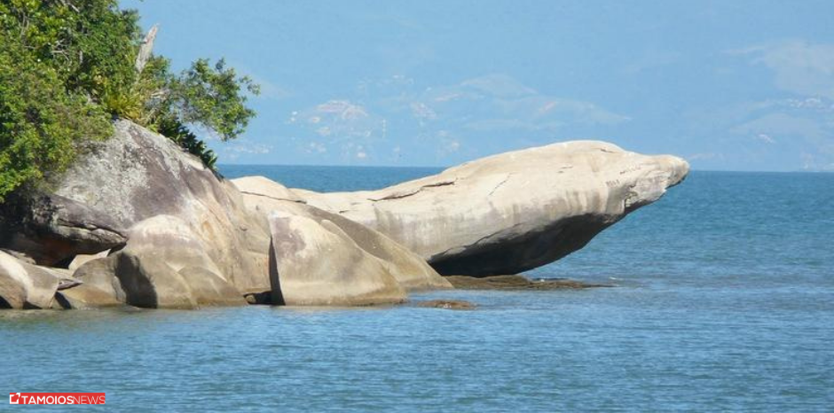 Prainha E A Famosa Pedra Do Jacaré Em Caraguatatuba – Tamoios News