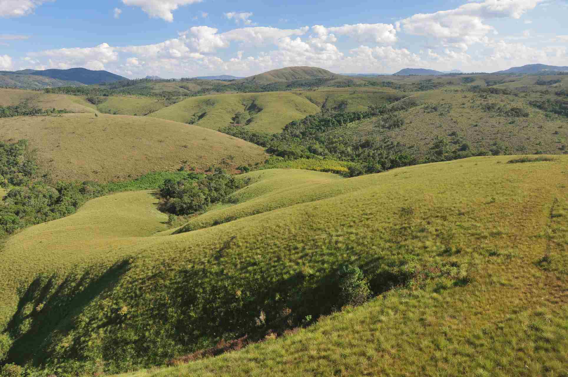 Cerrado brasileiro receberá santuário para preservação de